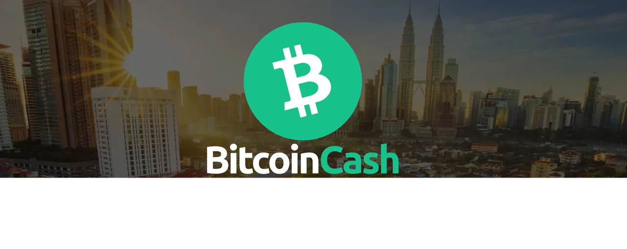 Bitcoin Cash (BCH banner with price quotes by currency underneath the logo.