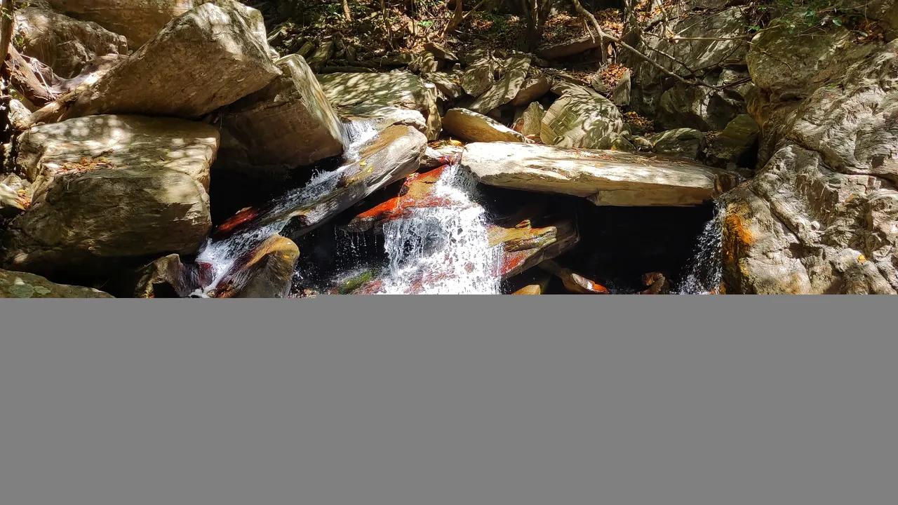 IMG_20220130_111245-01.jpeg
