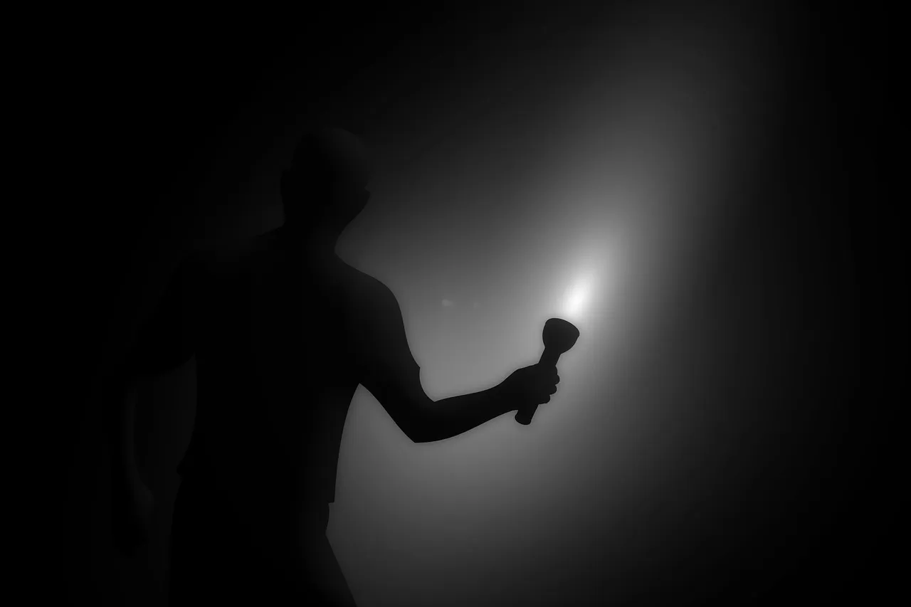 flashlight-7481941_1280.jpg