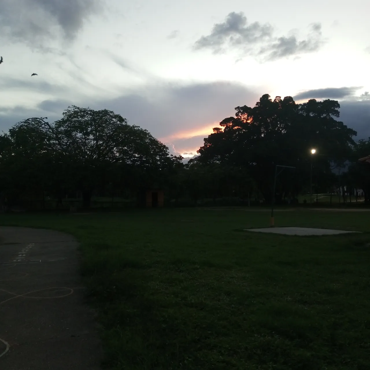 IMG_20240617_185628_985.jpg