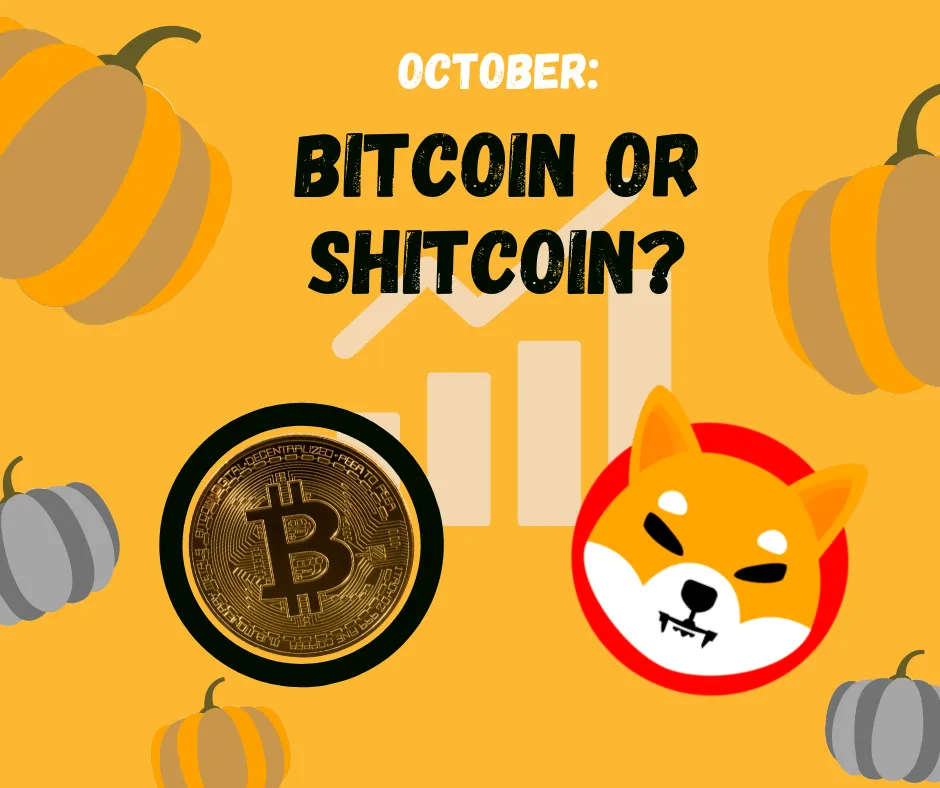 Bitcoin or Shitcoin.png