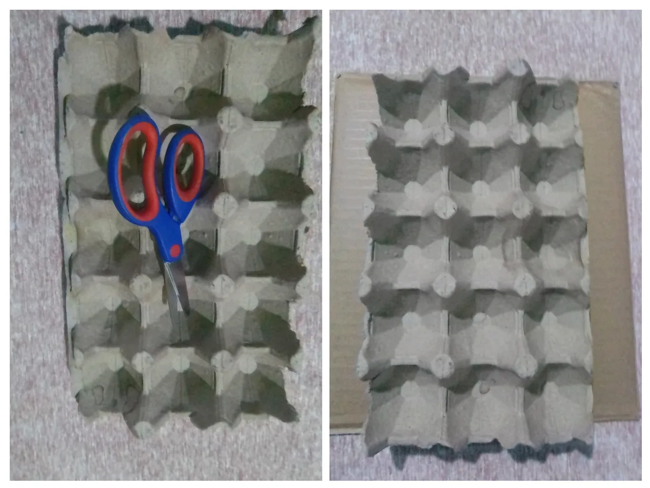 20221203_215314-COLLAGE.jpg