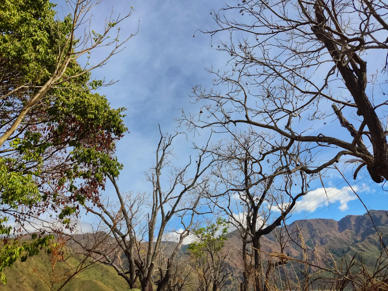 IMG_20220130_094743-01.jpeg