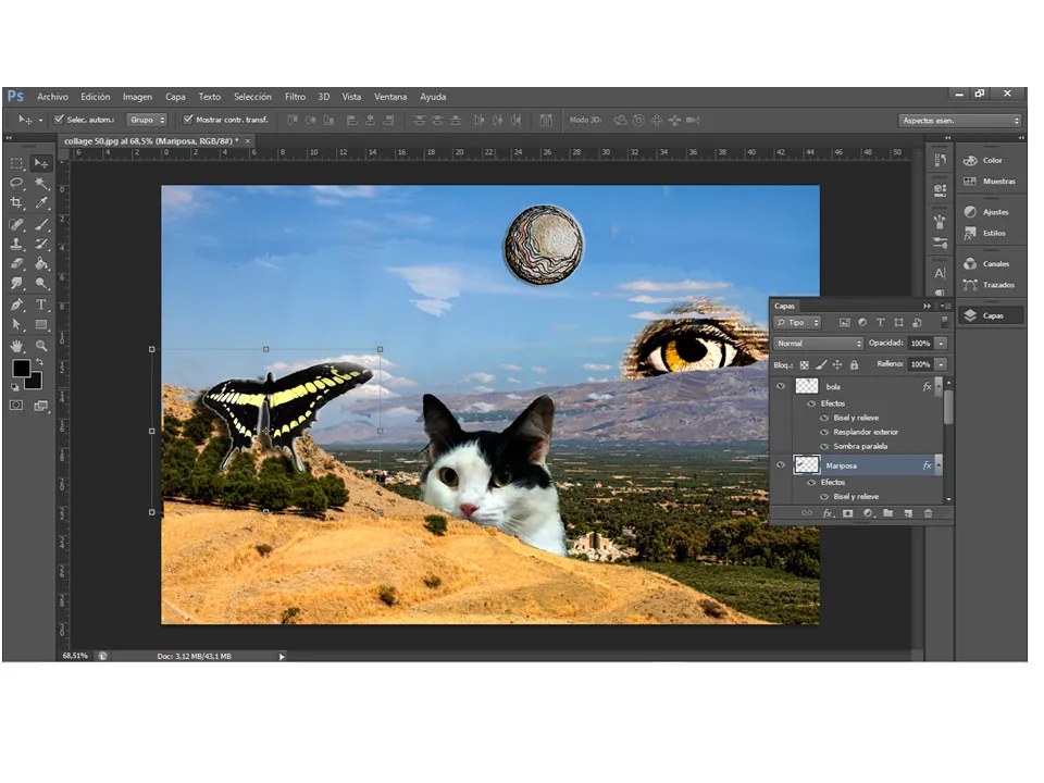 5Proceso collage 50.png