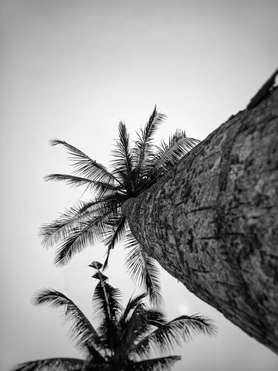IMG_20210916_084214-01.jpeg