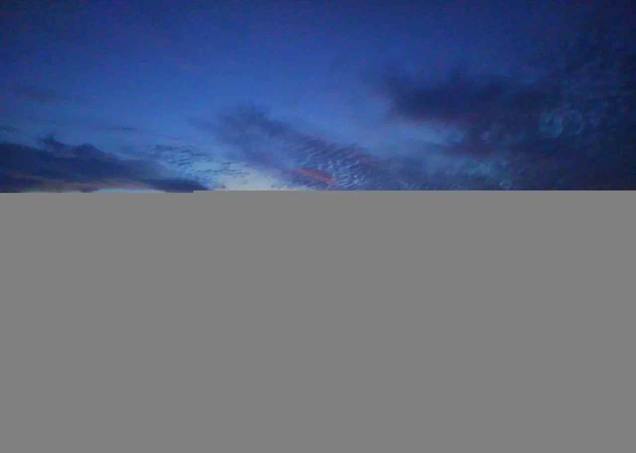 IMG_20220303_190824-01.jpeg