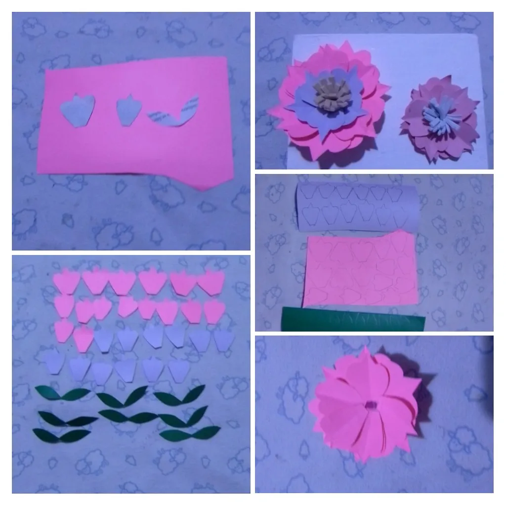 20220514_155912-COLLAGE.jpg