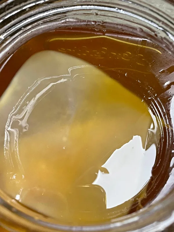 kombucha-tea-ferment-27.jpg