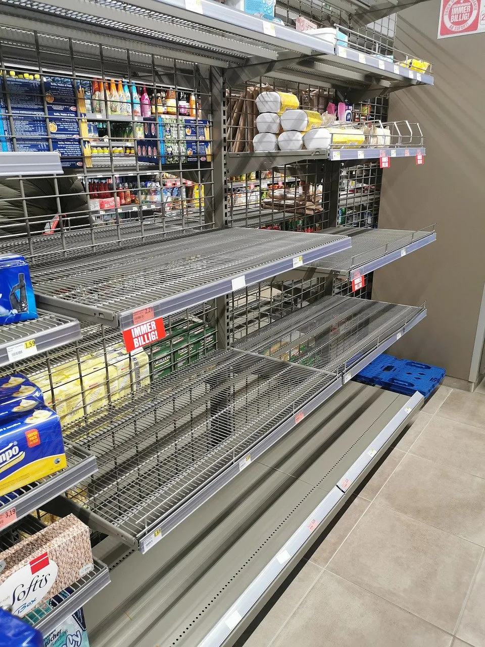 shelves-ge6845b84b_1280.jpg