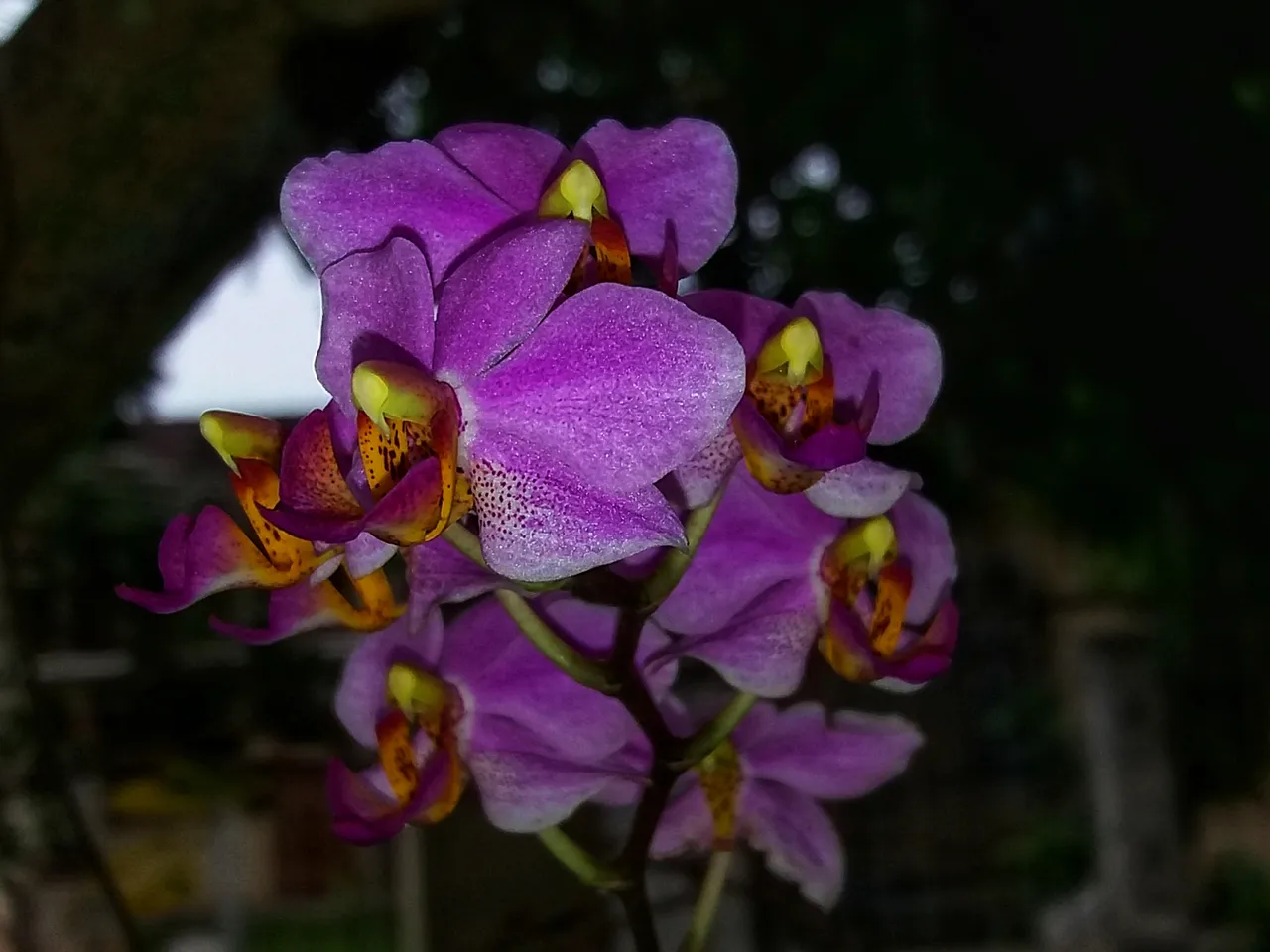 20200906_082919_edited.jpeg