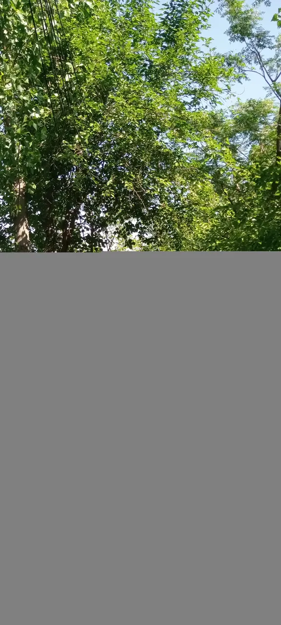 IMG_20210414_095110_022.jpg
