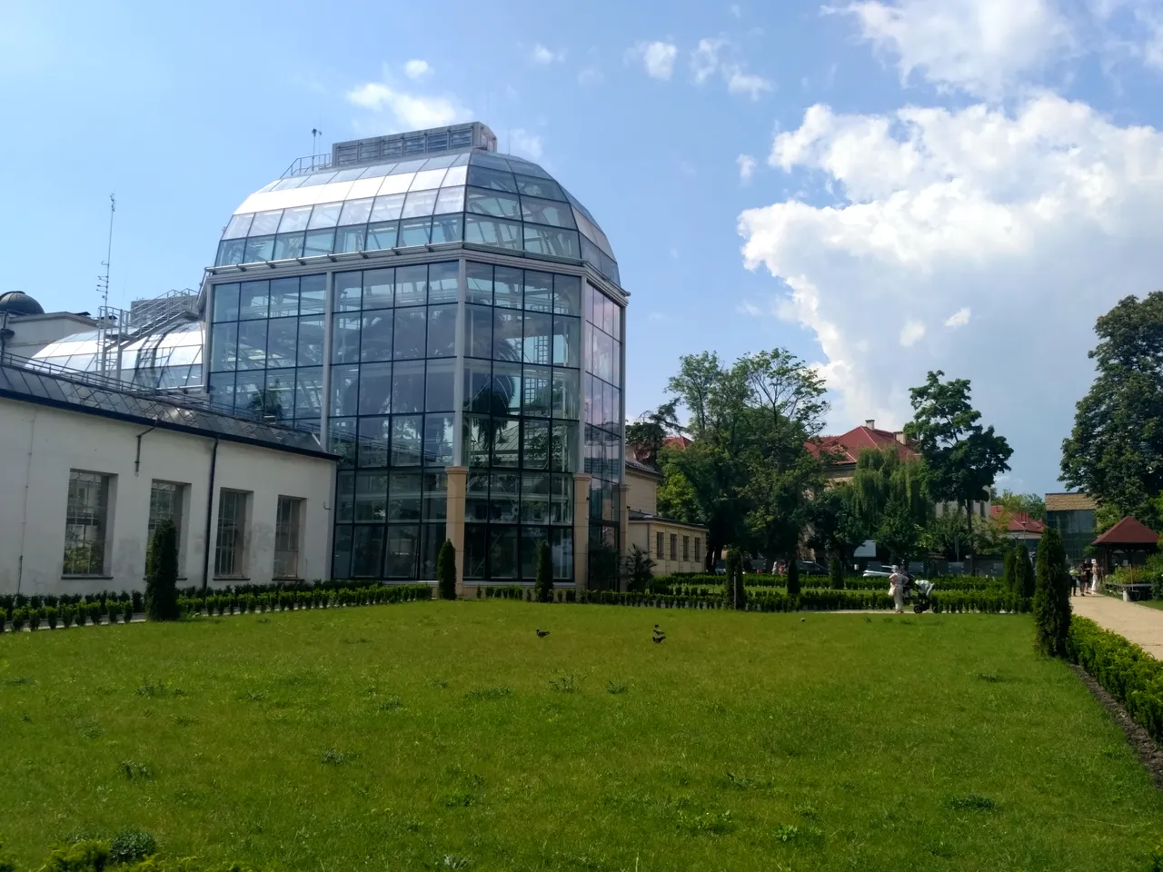 IMG_20210605_144410_HDR.jpg