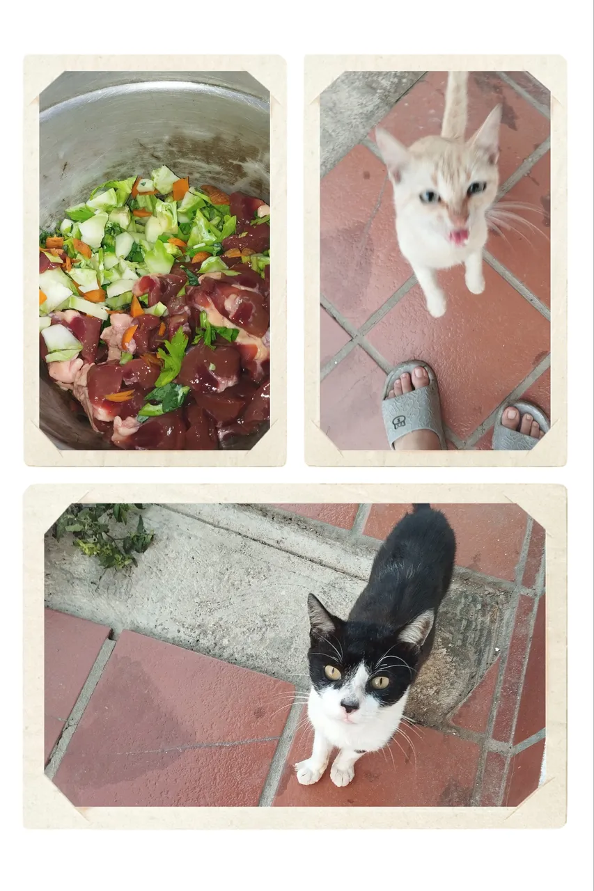 20250528_105229-COLLAGE.jpg