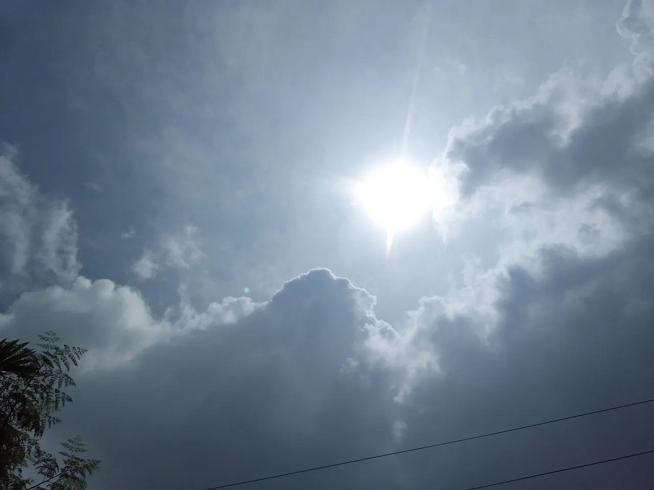 IMG_20220823_132042_233.jpg