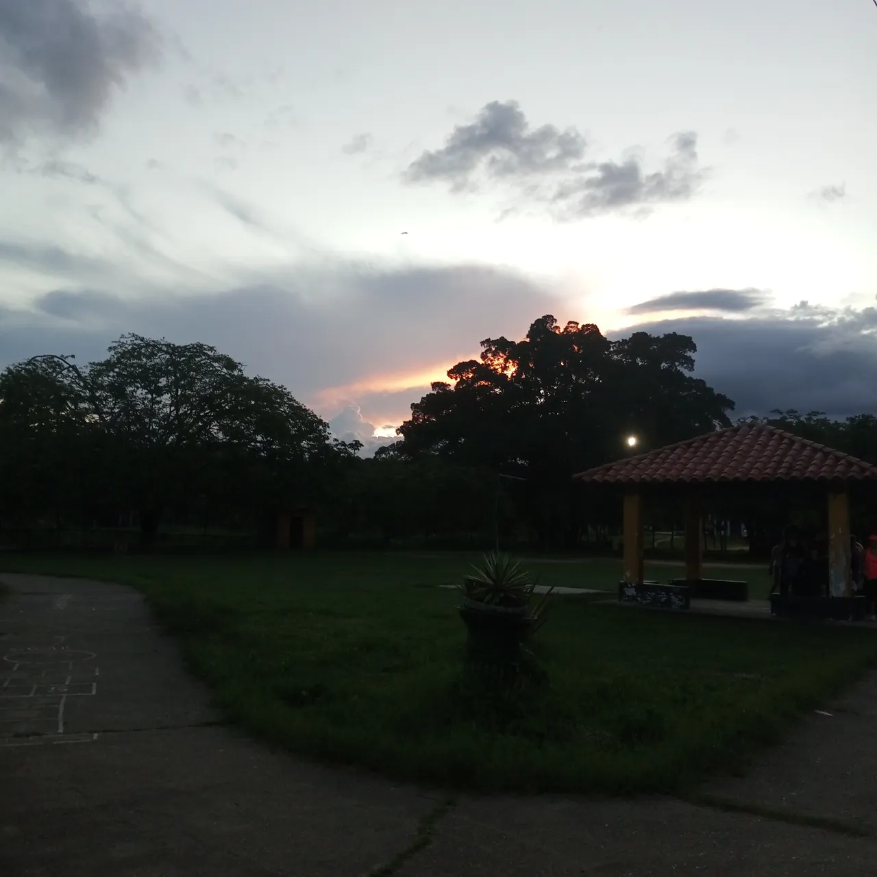 IMG_20240617_185604_749.jpg