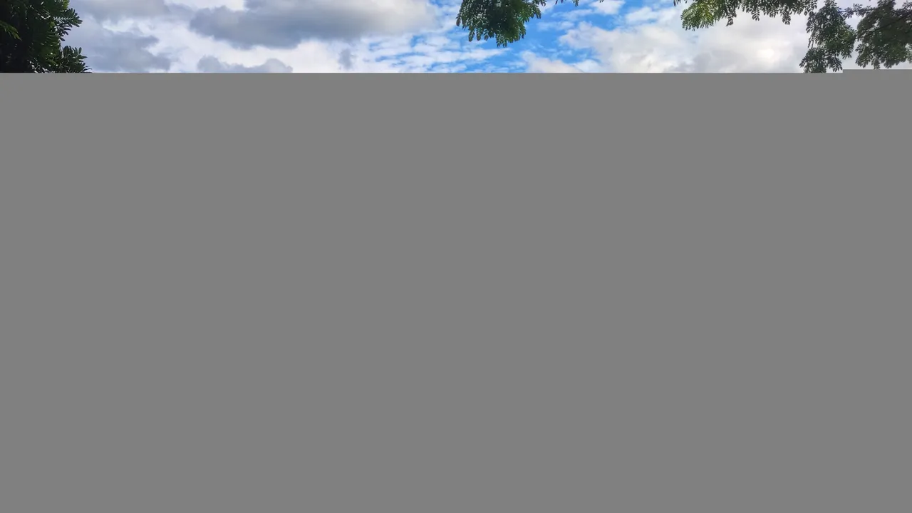 IMG_20210724_152123-01.jpeg