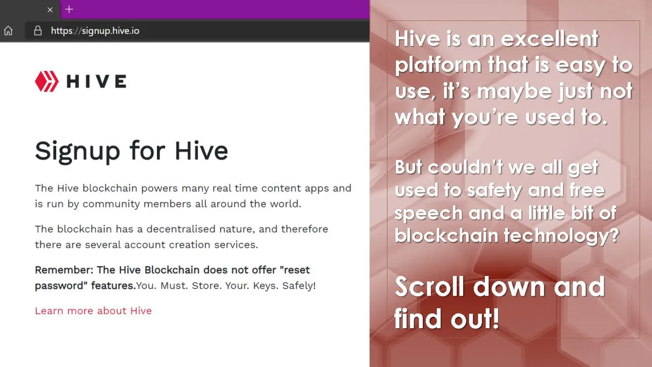 How To Hive_Page_03.jpg