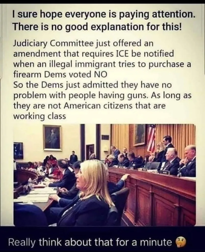guns-Dems said 'no'.jpg