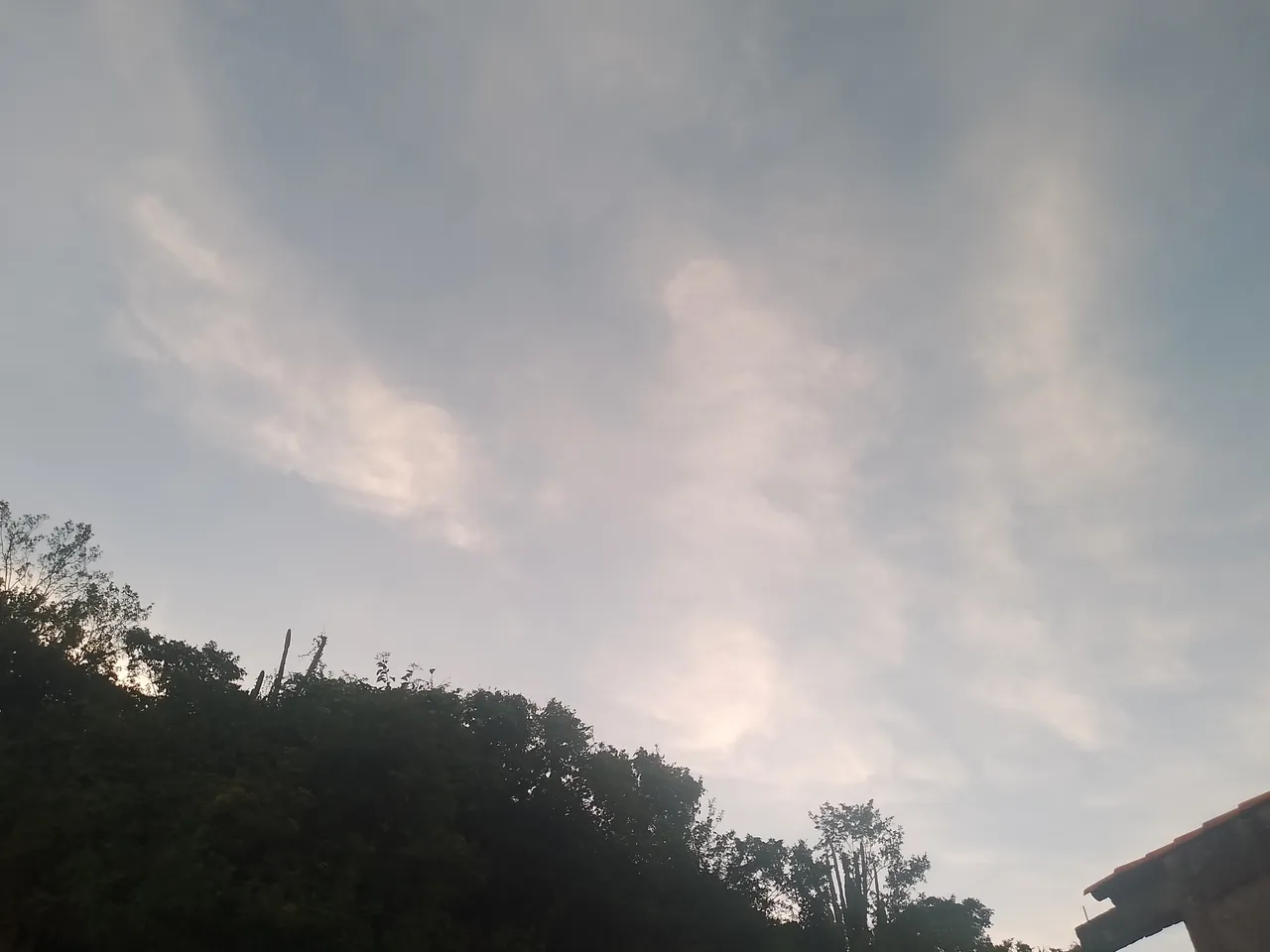 IMG_20250721_183106_178.jpg
