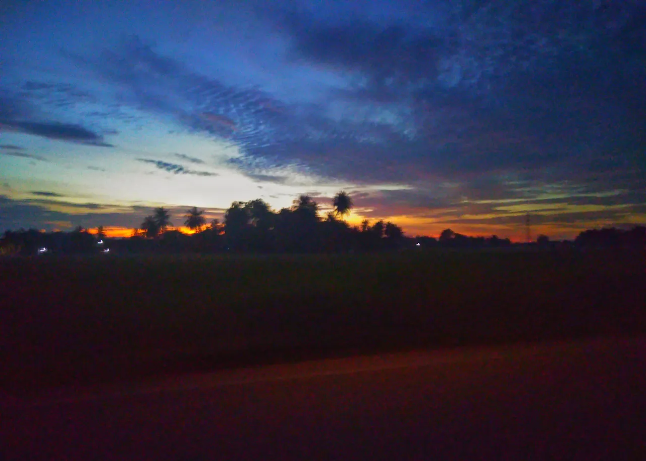 IMG_20220303_190735-01.jpeg