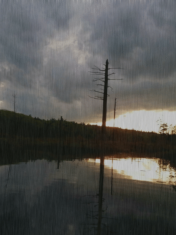 imageedit_15_2600297515.gif