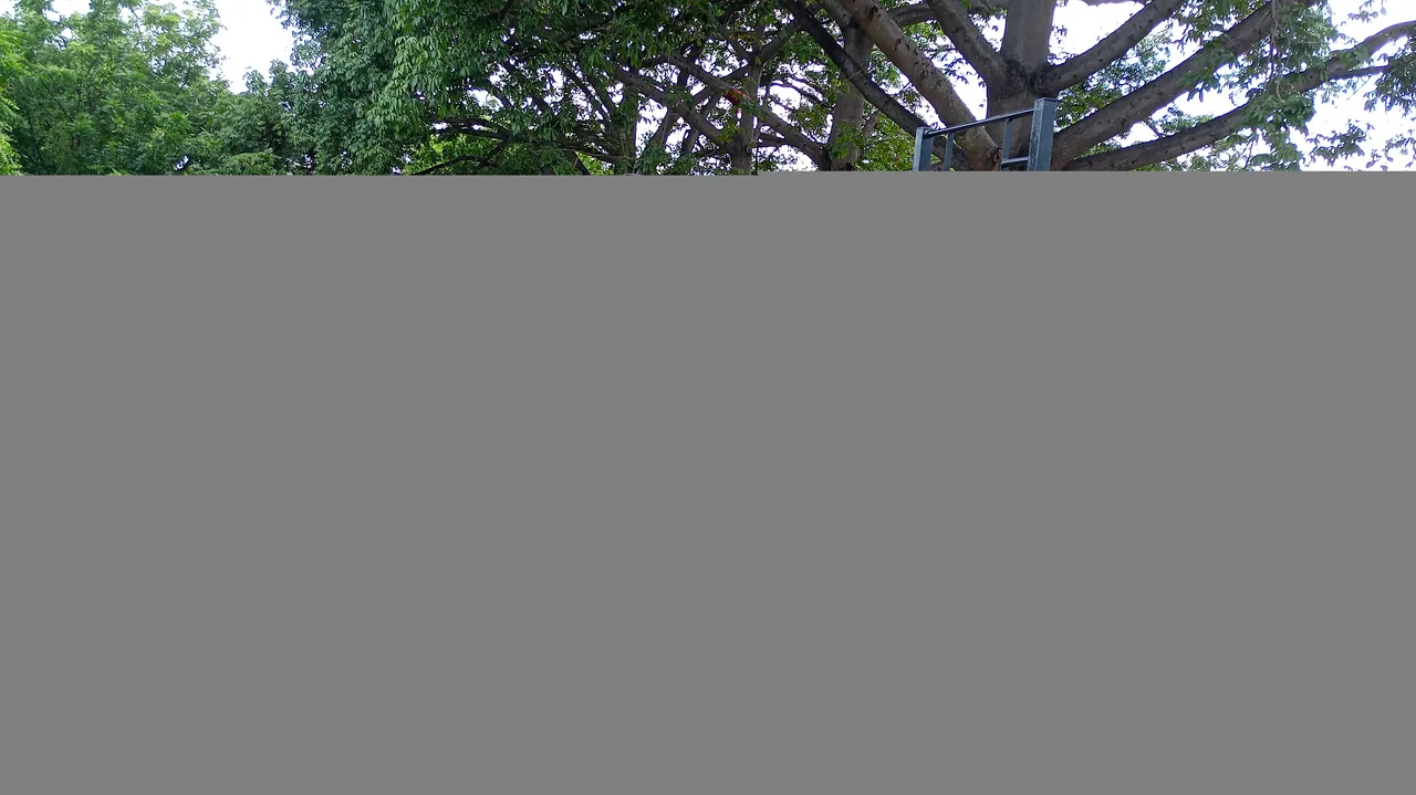 IMG_20230916_150411_327.jpg