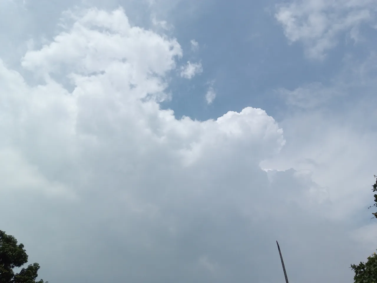 IMG_20220823_132114_321.jpg