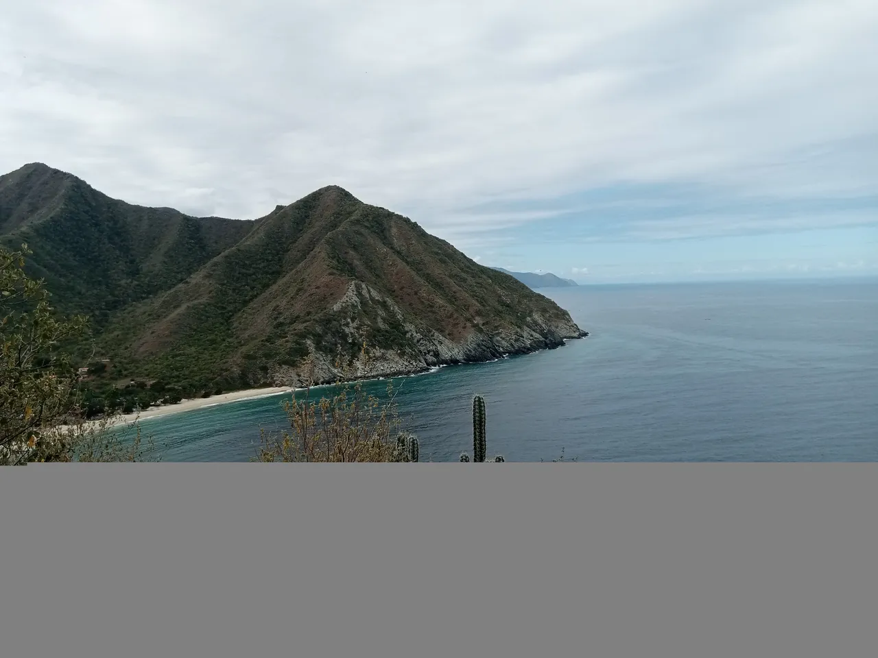 IMG_20220127_112801_755.jpg