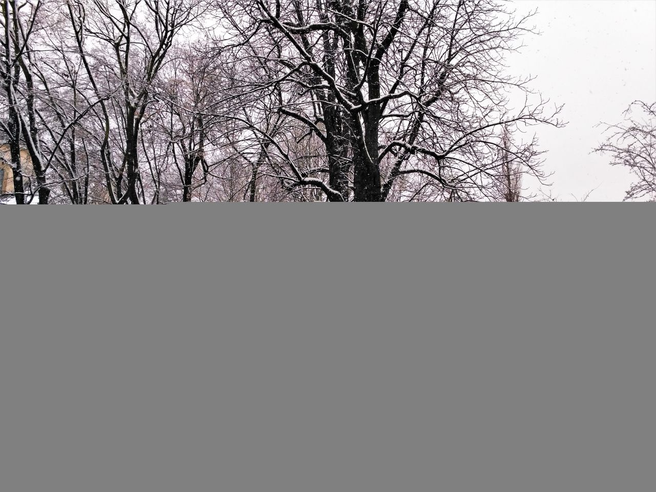 IMG_20210114_124638_HDR.jpg