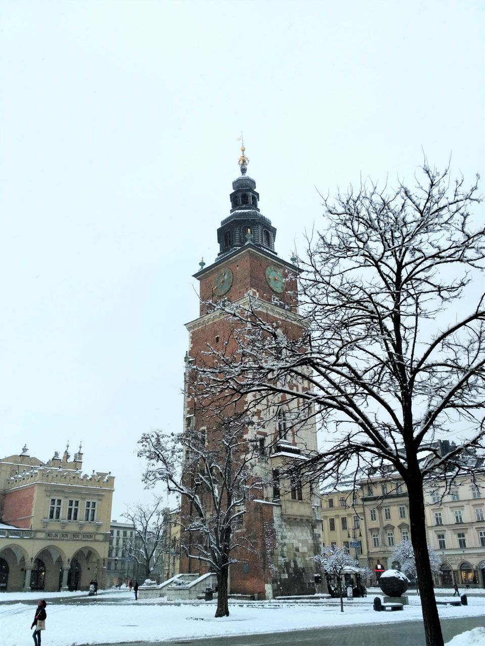 IMG_20210114_124401_HDR.jpg