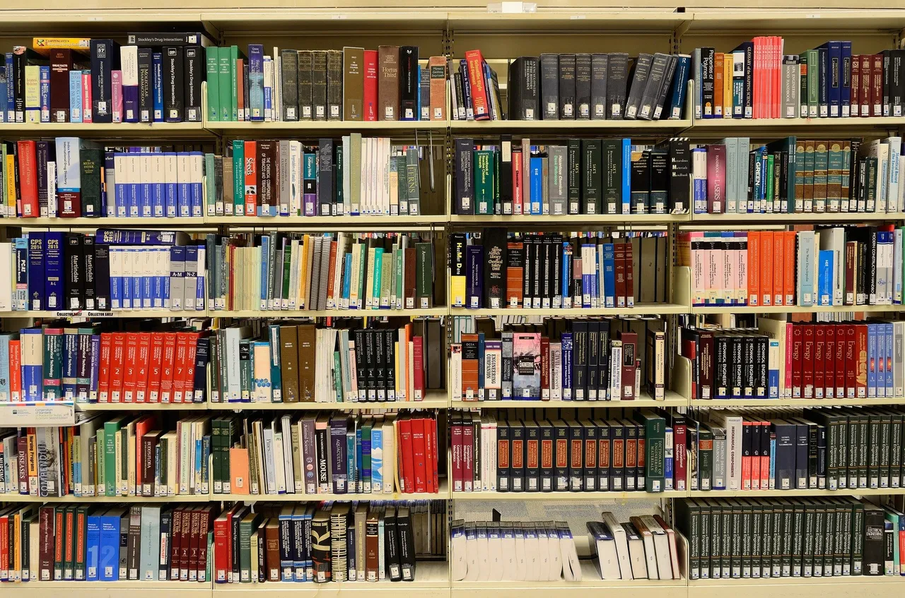 library-g491b0940c_1920.jpg