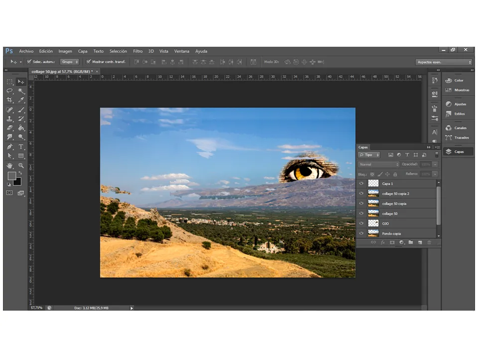 2Proceso collage 50.png