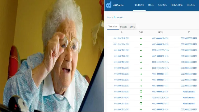 6.grandma-blockexplorer.png