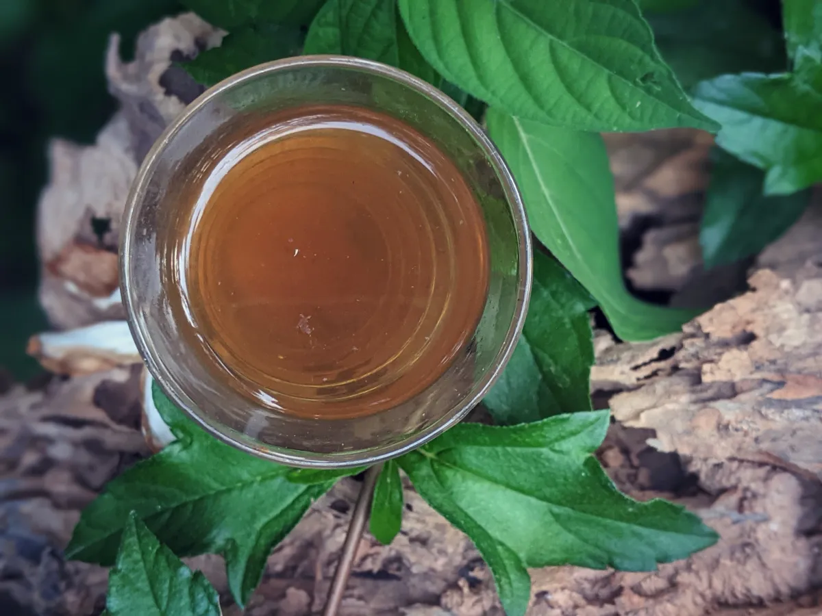lemongrass-pandan-tea-2.jpg