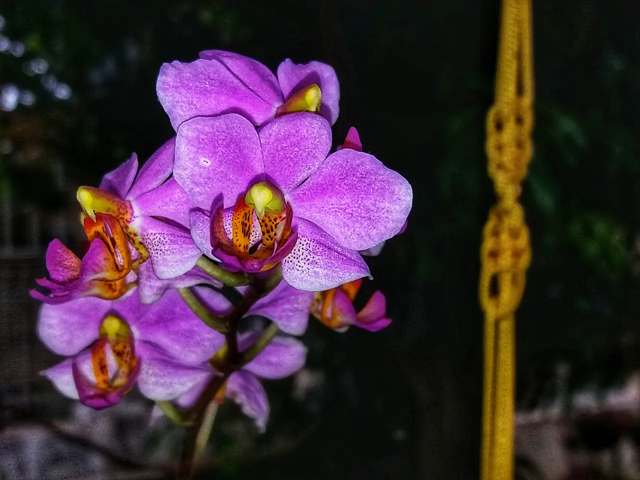 20200906_082853_edited.jpeg