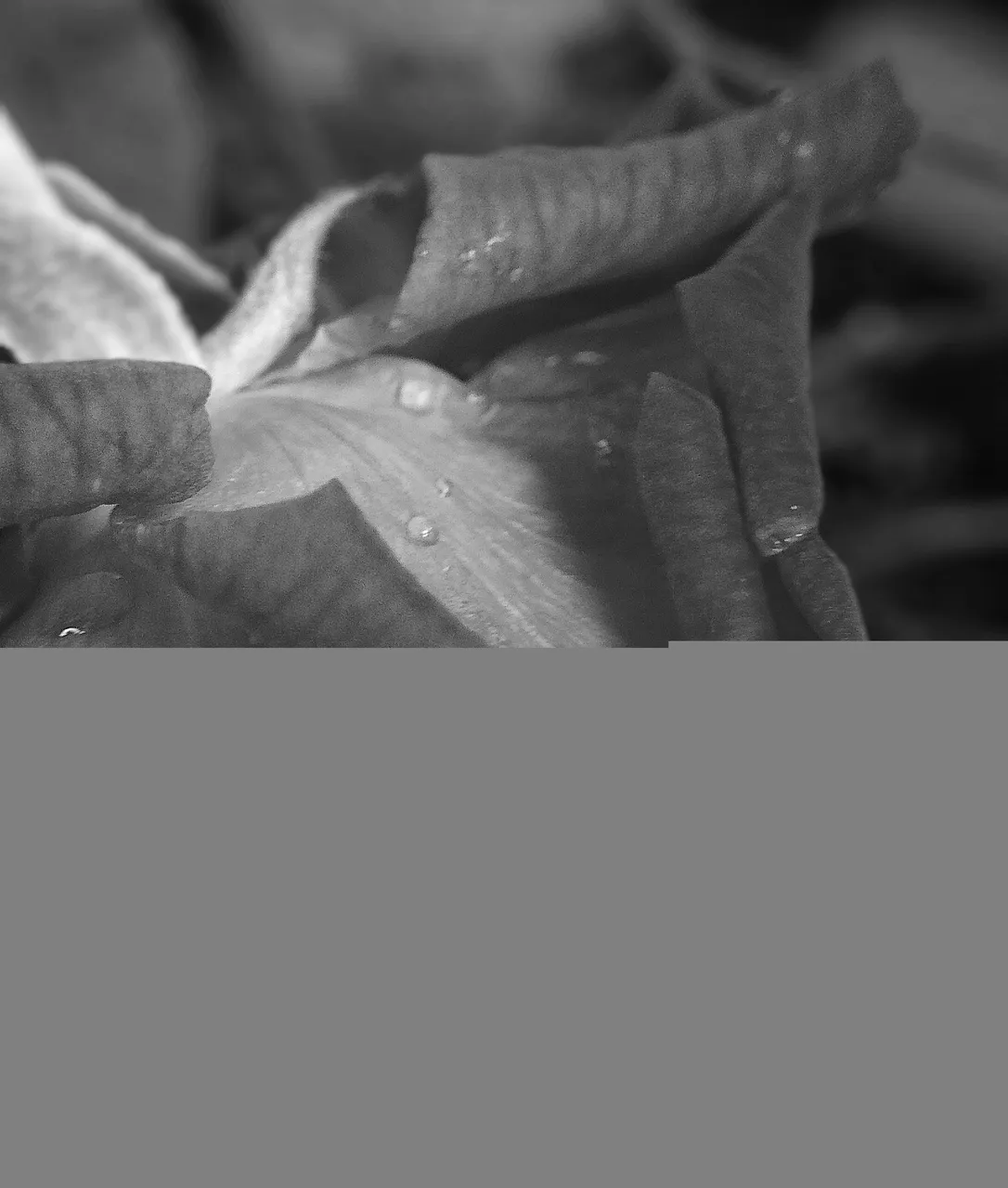 IMG_20210730_143505-01.jpeg