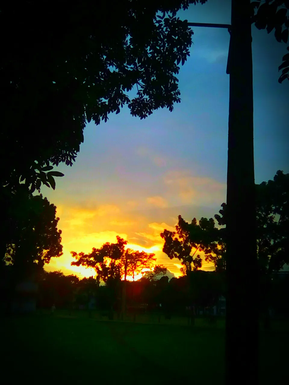IMG_20201107_180926_031.jpg