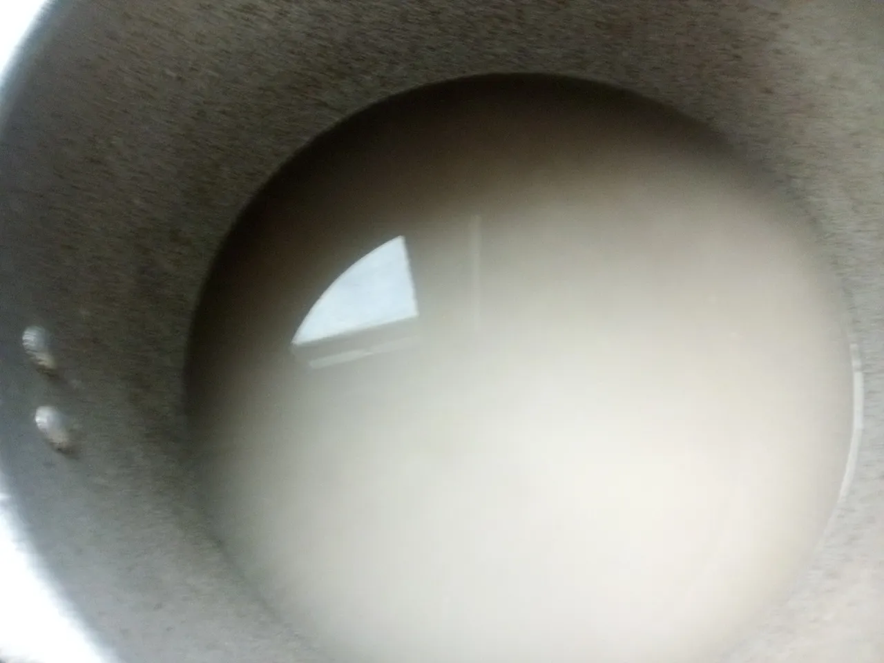 IMG_20250126_085210_051.jpg