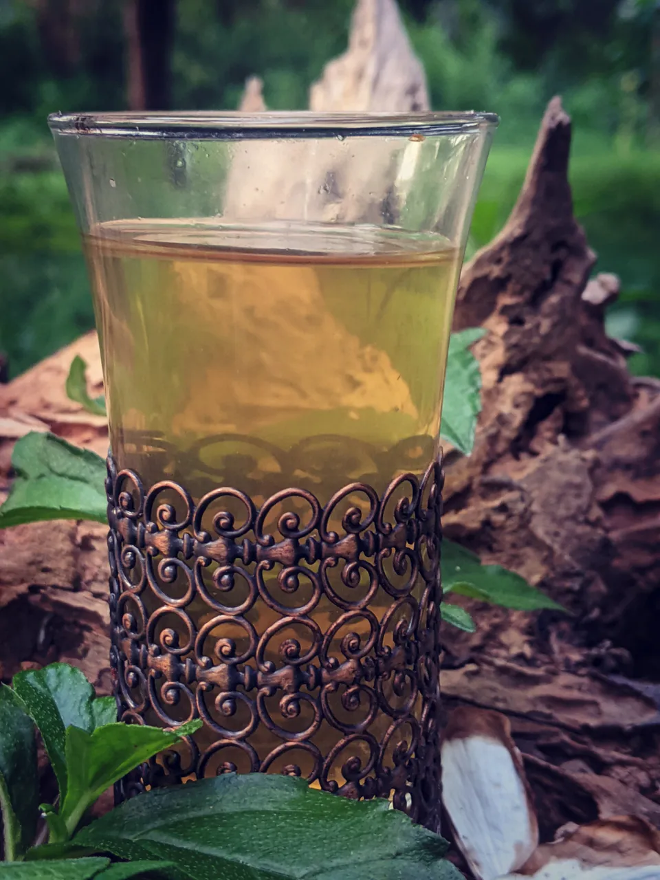 lemongrass-pandan-tea-5.jpg