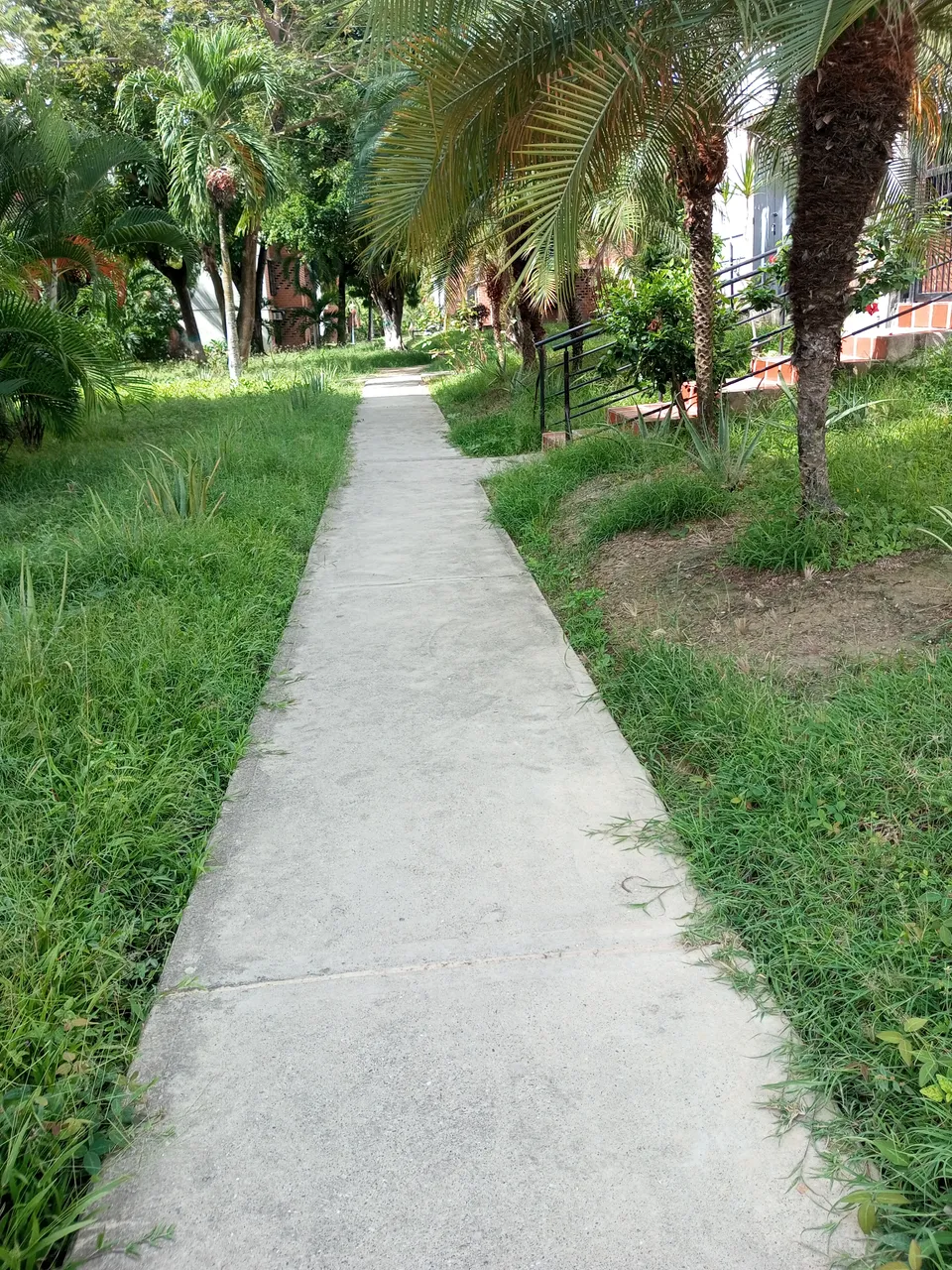IMG_20250713_095108_997.jpg