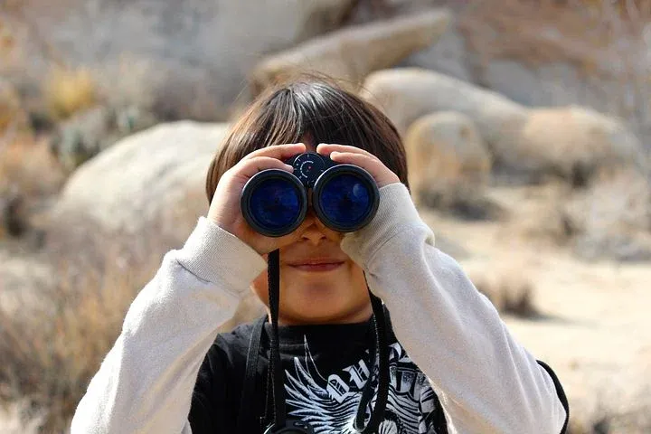 binoculars-100590__480.webp