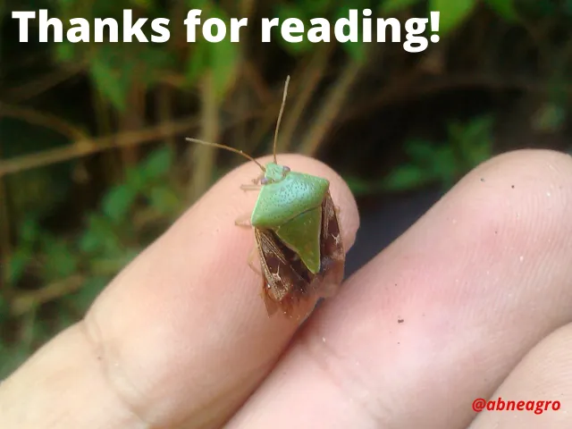 Thanks for reading!.png