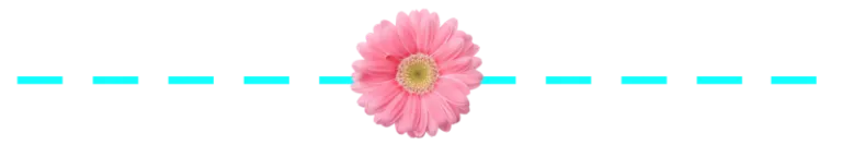 "Separadores-120-768x144.png"