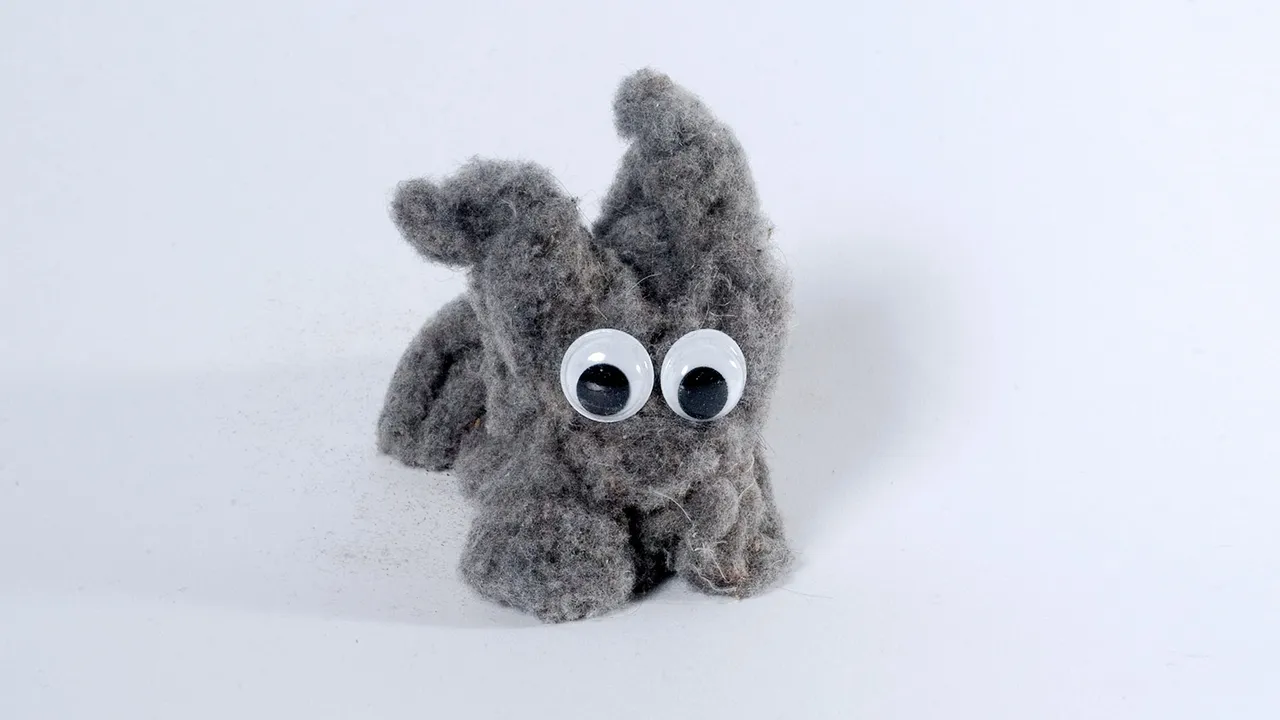the dustbunny is alive - photo by @fraenk