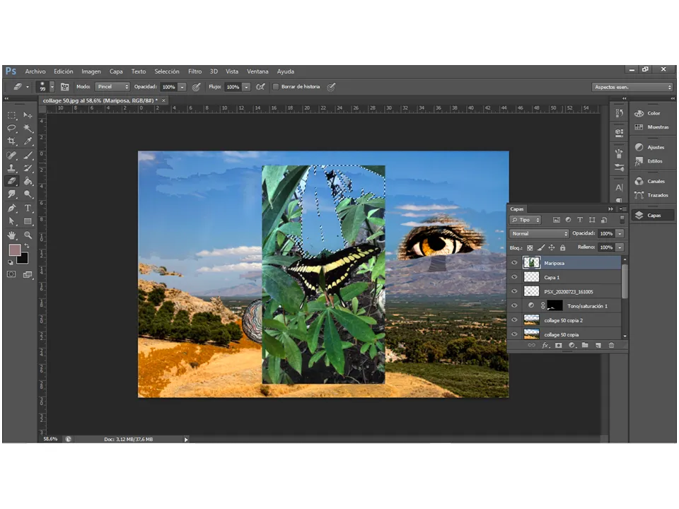4Proceso collage 50.png