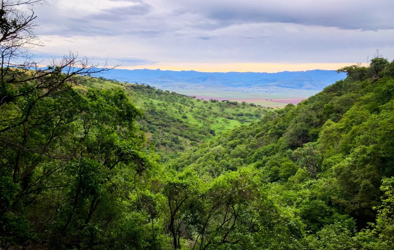 The view from inside the cave looking over the Northern Drakensberg.