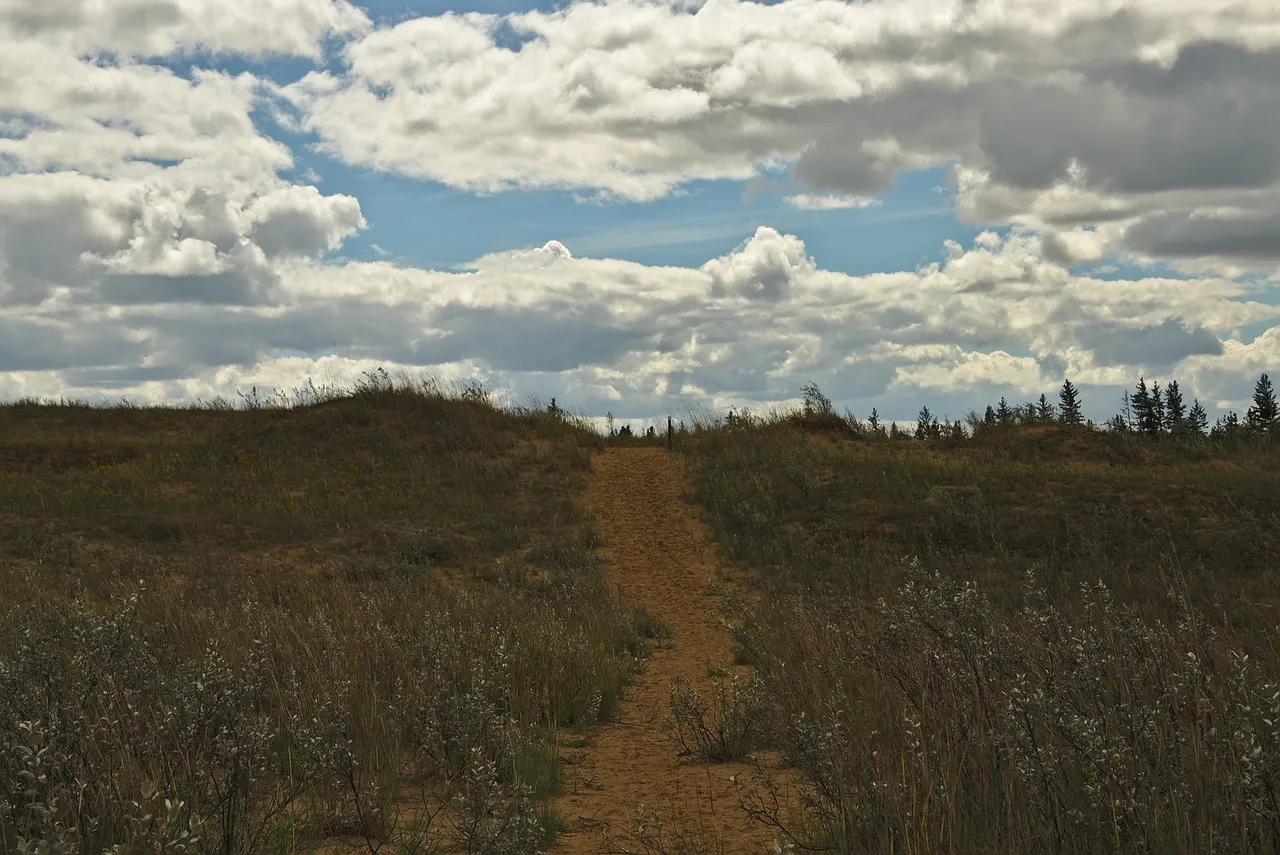 Spruce Woods Provincial Park, Canada