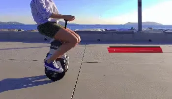 GIF.mp4