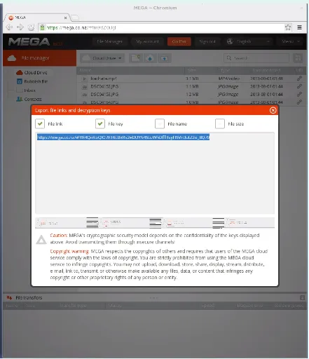 Megatools2.PNG