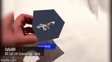 cell.mp4